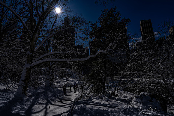 A7R00755