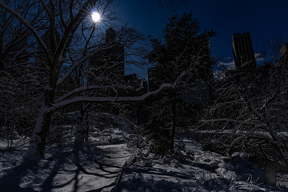A7R00755-2