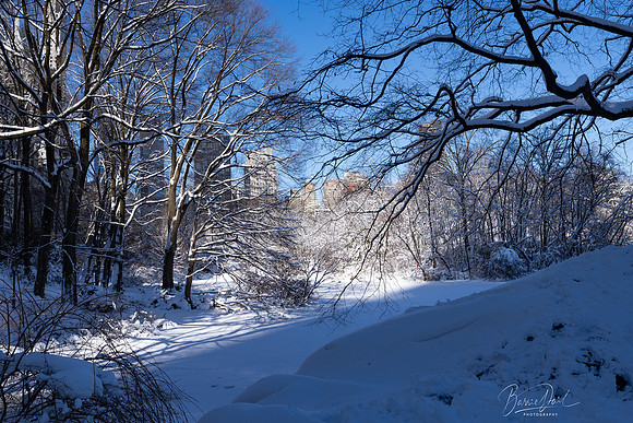 A7R00614