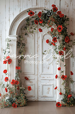 Vintage Doorway Background - Fotofana.com