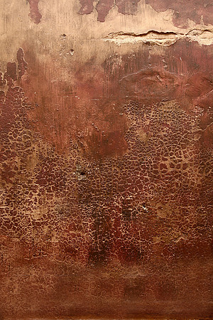 bamboo background mon