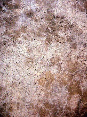 bg2