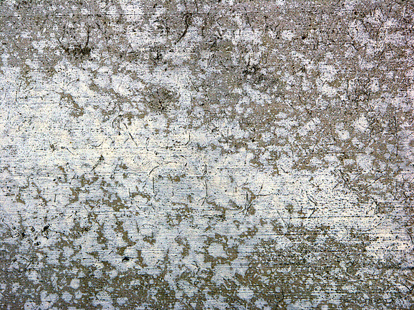 bg7