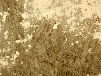 bg6