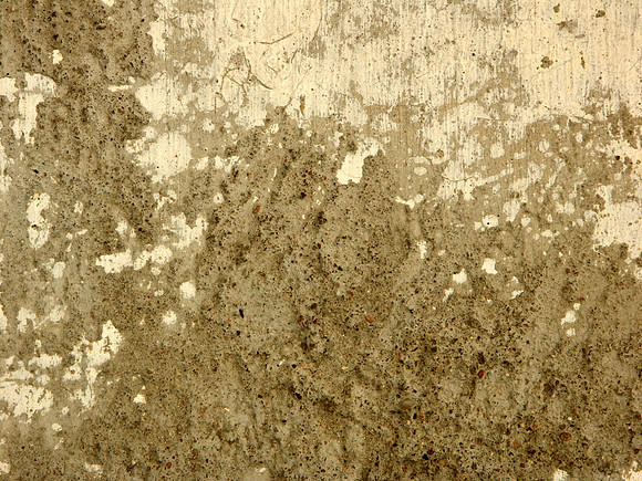 bg6