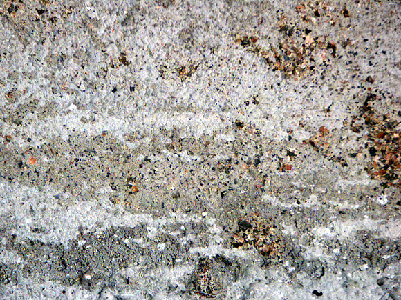 bg8
