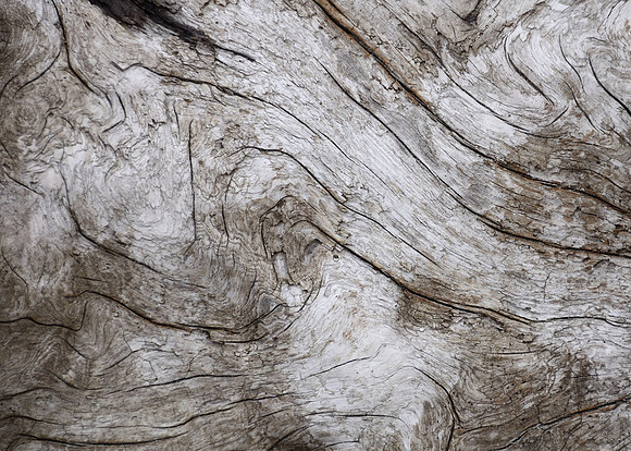 Driftwood