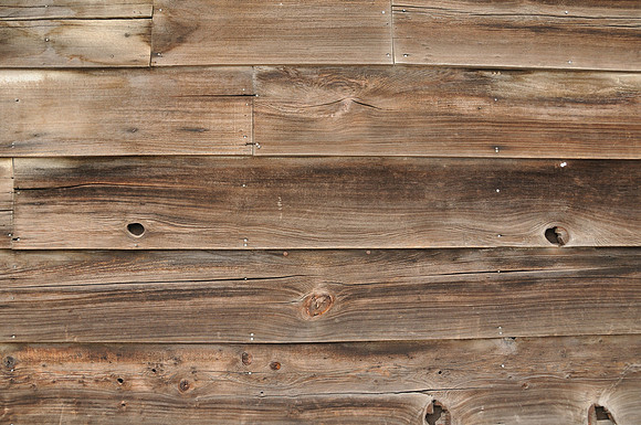 DSC_0381b