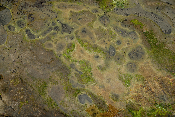 DSC_1500
