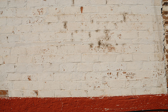 DSC_1983