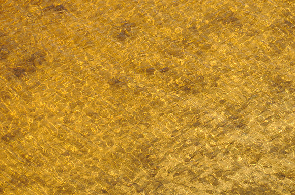 DSC_2433
