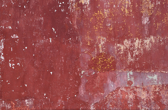 DSC_4737