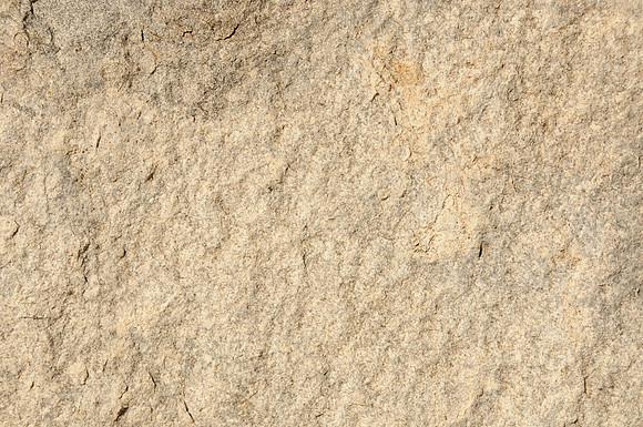 DSC_5646