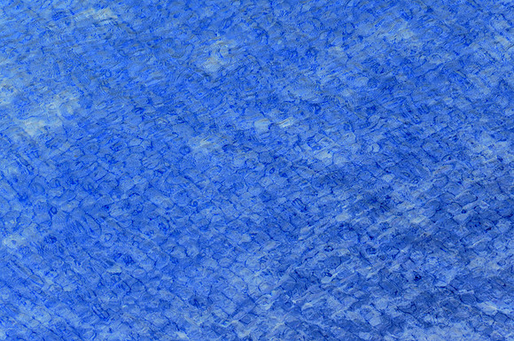 InvertYellowWater