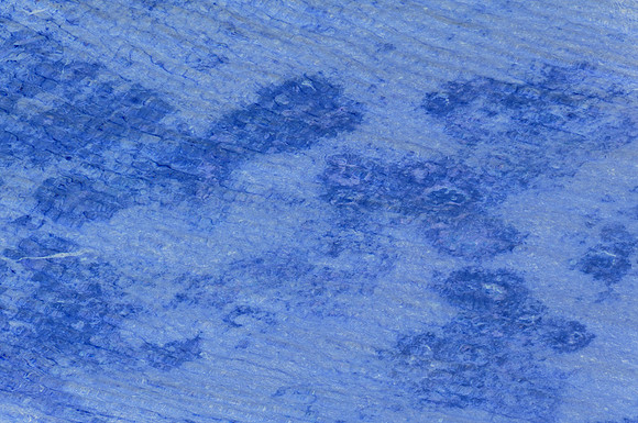 InvertYellowWater2