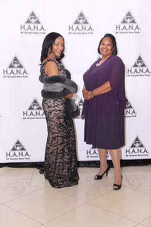 HANA (236)