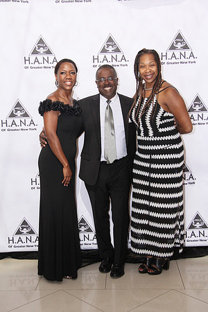 HANA (50)