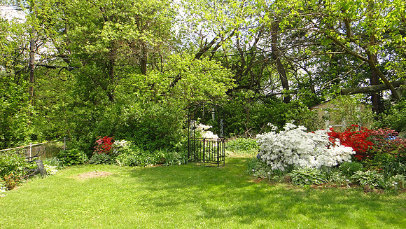 DSC00054